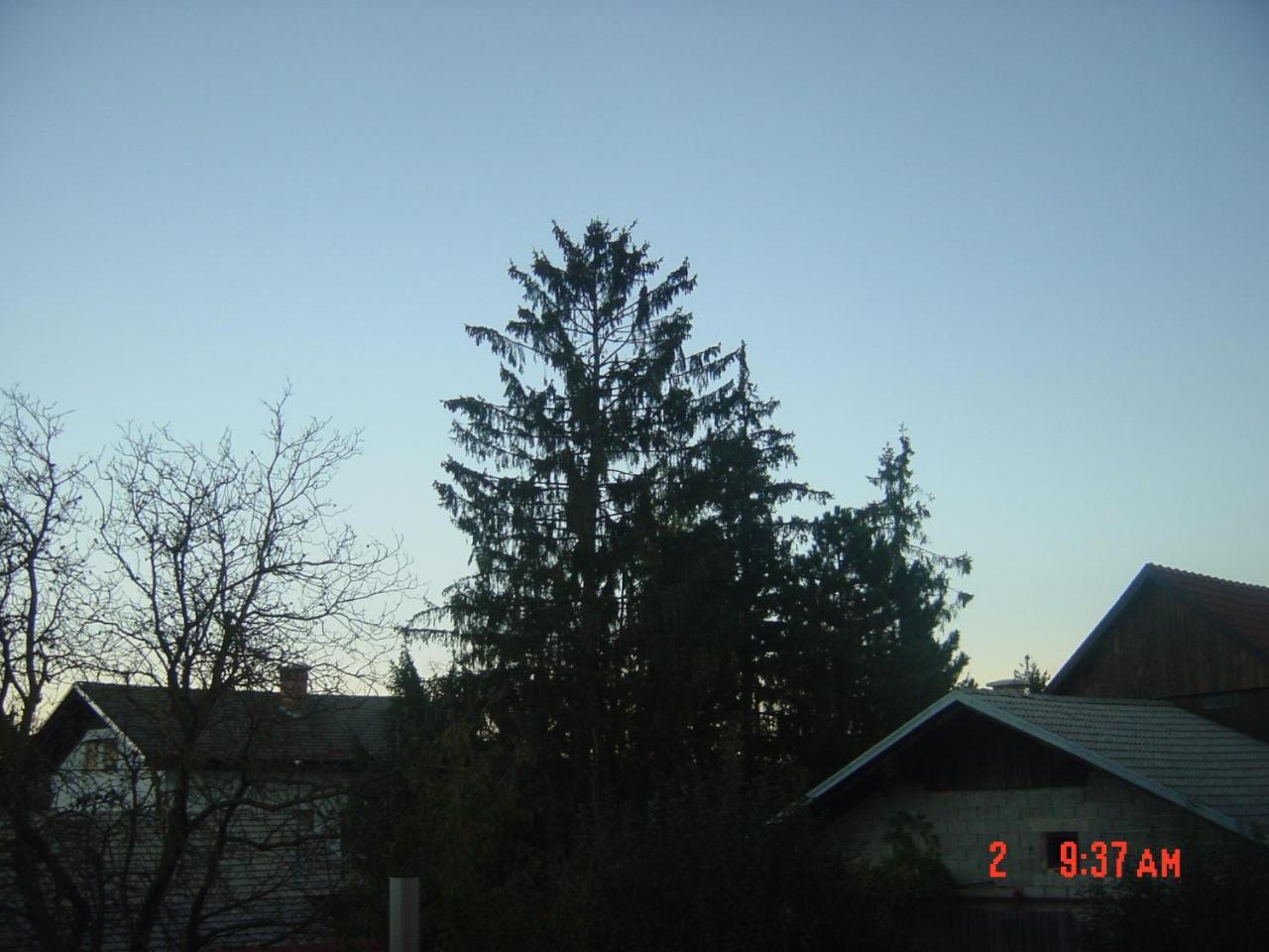 Vrdjan Cerknica