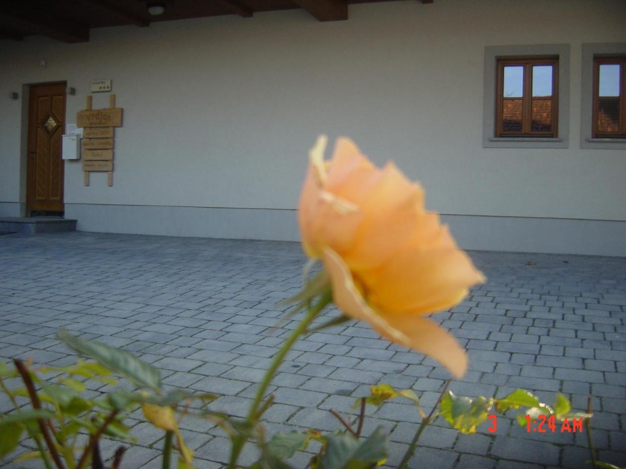 Vrdjan Apartment